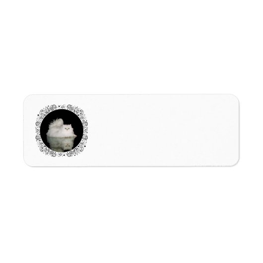 Étiquette Chat Persan aux Yeux Vert Jade (Devant)
