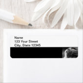 Étiquette Chat perse gris sur la frontière noire (En situation)