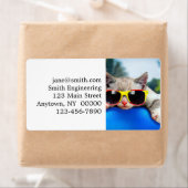 Étiquette Chat portant des lunettes de soleil se relaxant su (En situation)