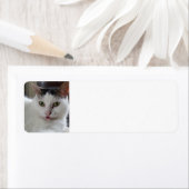 Étiquette Chat qui sort la langue (En situation)