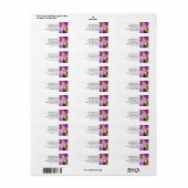 Étiquette Chat souhaitant un beigne (Feuille entière)