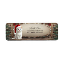 Chaton blanc avec chapeau de Père Noël Adresse de
