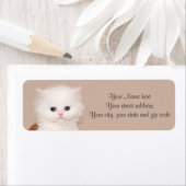 Étiquette Chaton persan blanc (En situation)