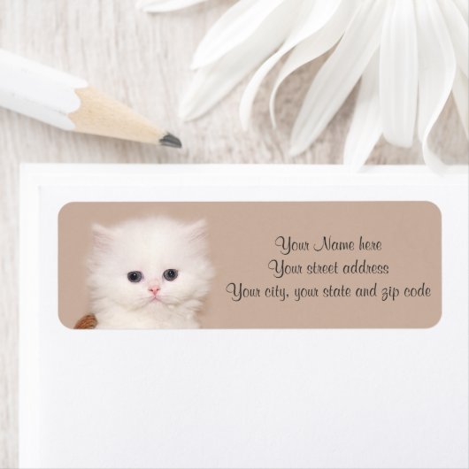 Étiquette Chaton persan blanc (En situation)
