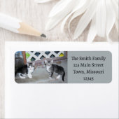 Étiquette Chatons (En situation)