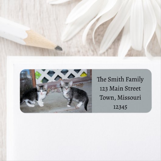 Étiquette Chatons (En situation)