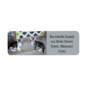 Étiquette Chatons (Devant)