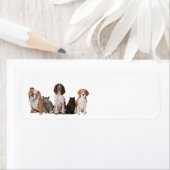 Étiquette Chats et chiens mignons (En situation)