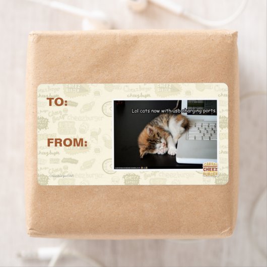 Étiquette Chats Lol avec USB (En situation)