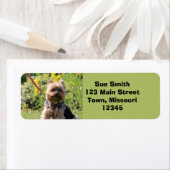 Étiquette Chérie simple (En situation)