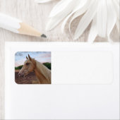 Étiquette Cheval (En situation)