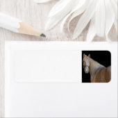 Étiquette Cheval (En situation)