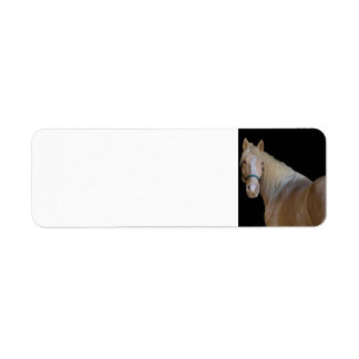 Étiquette Cheval