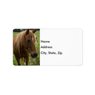 Étiquette Cheval Bonjour
