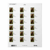 Étiquette Cheval Bonjour (Feuille entière)