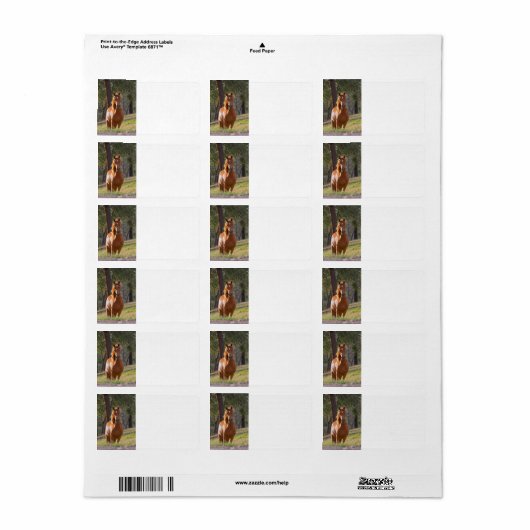 Étiquette Cheval Dans Les Bois (Feuille entière)