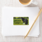 Étiquette Cheval d'attelage noir et blanc de la bannière Tin (En situation)