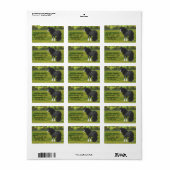 Étiquette Cheval d'attelage noir et blanc de la bannière Tin (Feuille entière)