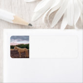 Étiquette Cheval de Champagne (En situation)