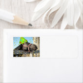 Étiquette Cheval de fête d'anniversaire (En situation)