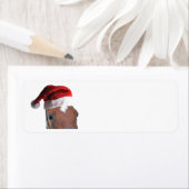 Étiquette Cheval de Noël portant un Casquette du Père Noël (En situation)