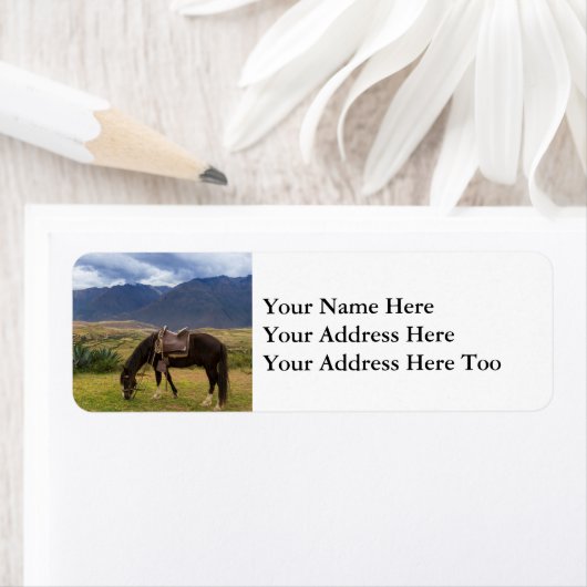 Étiquette Cheval II de la Vallée Sacrée (En situation)