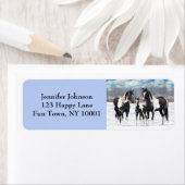 Étiquette Cheval Pinto Quarter Noir Chevaux Paint Chevaux Da (En situation)