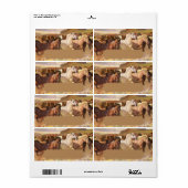 Étiquette Cheval sauvage Cheval Course Stampede Art Étiquett (Feuille entière)