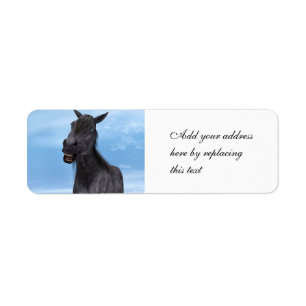 Étiquette Cheval souriant