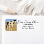 Étiquette Cheval tacheté noir et blanc Adresse de retour (En situation)