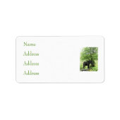 ÉTIQUETTE CHEVAUX (Devant)