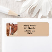 Étiquette Chevaux étourdissant dans un pâturage (En situation)