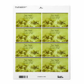 Étiquette CHEVAUX GRAISSER Vert olive (Feuille entière)