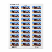 Étiquette Chevaux sauvages Adresse de retour (Feuille entière)