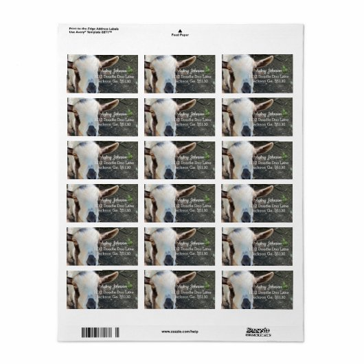 Étiquette Chèvre (Feuille entière)