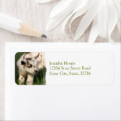 Étiquette Chèvre de bébé mignonne (En situation)