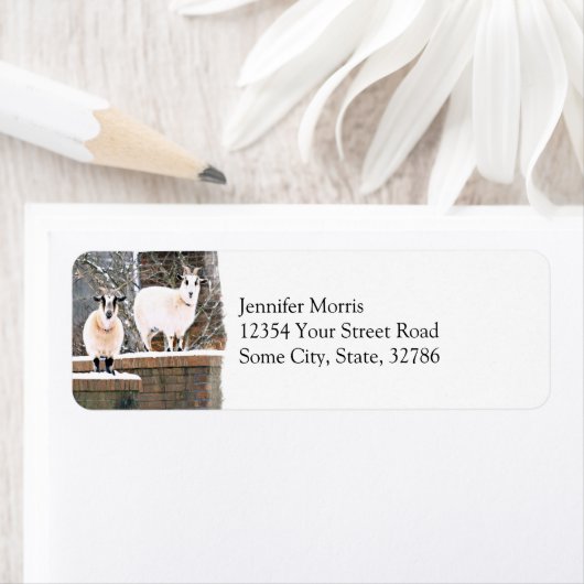 Étiquette Chèvres de Noël (En situation)