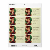 Étiquette Chibi flamenco en espagnol casquette et cactus (Feuille entière)