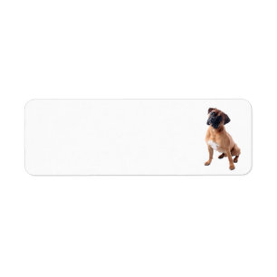 Étiquette Chien 2 de boxeur