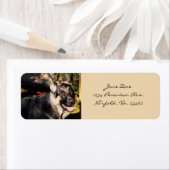 Étiquette Chien berger allemand (En situation)