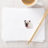 Étiquette Chien blanc mignon Bulldog (En situation)