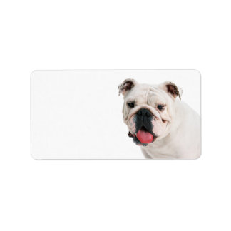 Étiquette Chien blanc mignon Bulldog
