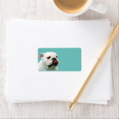 Étiquette Chien blanc mignon Bulldog (En situation)