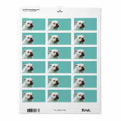 Étiquette Chien blanc mignon Bulldog (Feuille entière)