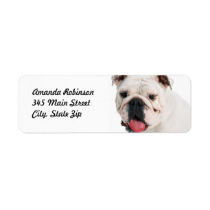 Étiquette Chien blanc mignon Bulldog