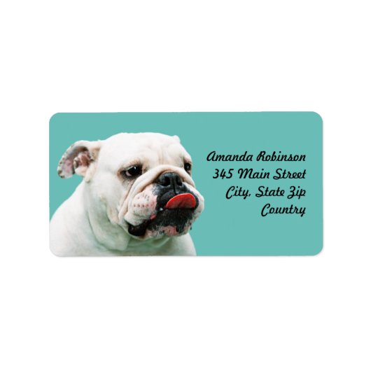 Étiquette Chien blanc mignon Bulldog (Devant)