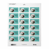 Étiquette Chien blanc mignon Bulldog (Feuille entière)