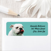 Étiquette Chien blanc mignon Bulldog (En situation)