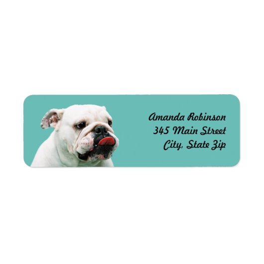 Étiquette Chien blanc mignon Bulldog (Devant)