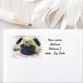 Étiquette chien carlin (En situation)